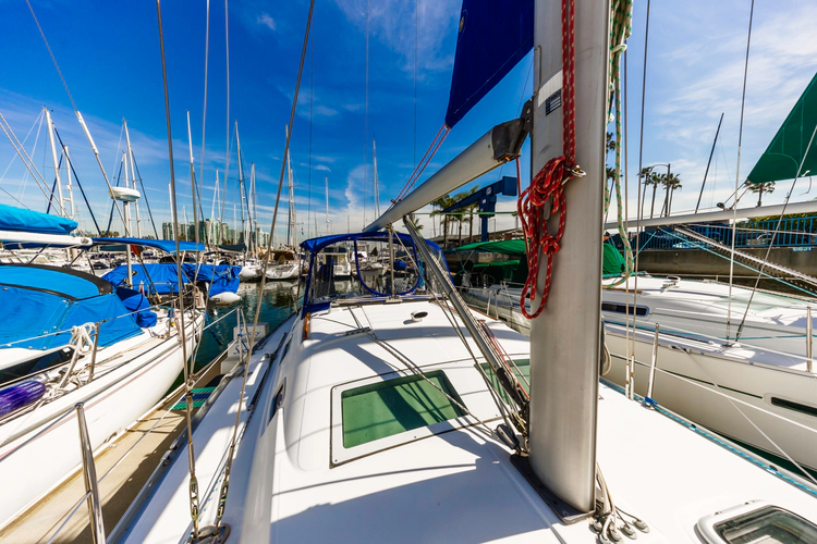 Lucky Socks Yacht Photos Pics 