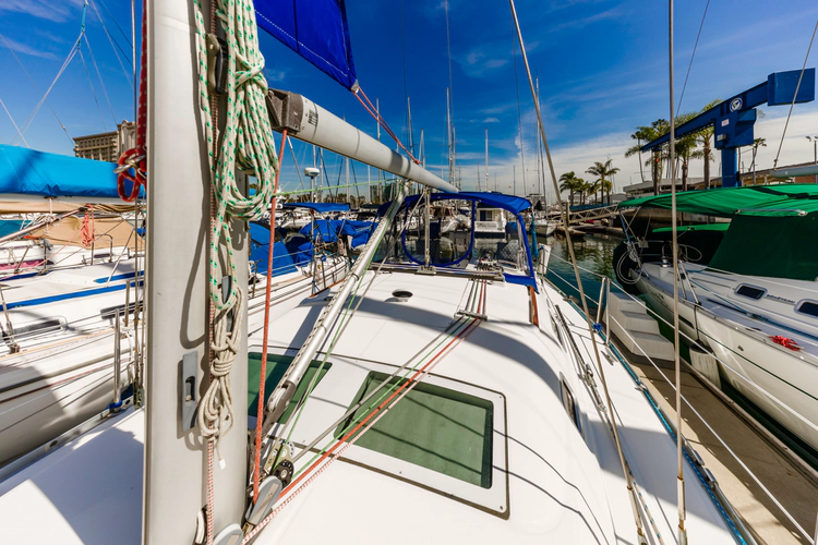 Lucky Socks Yacht Photos Pics 