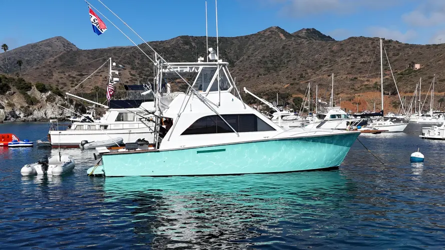 Aqua Ma'am Yacht Photos Pics 