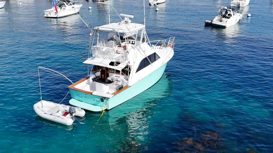 Aqua Ma'am Yacht Photos Pics 