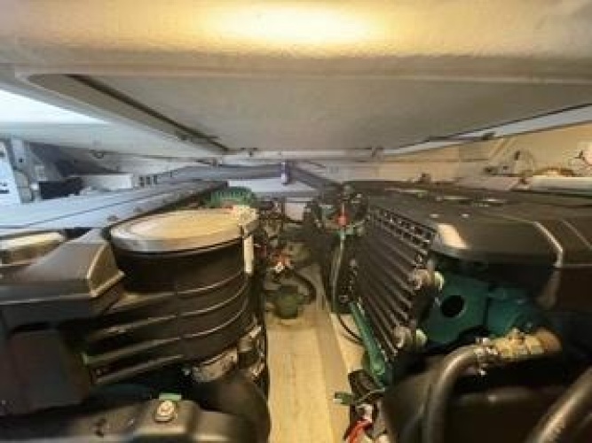 Oasis Yacht Photos Pics 