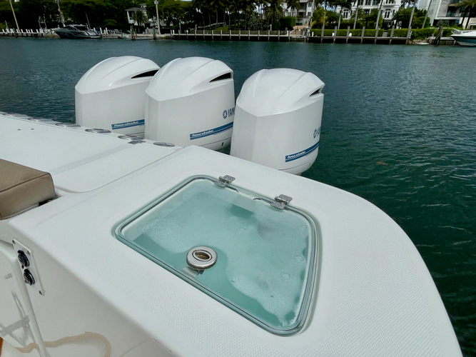 Perfection Yacht Photos Pics 