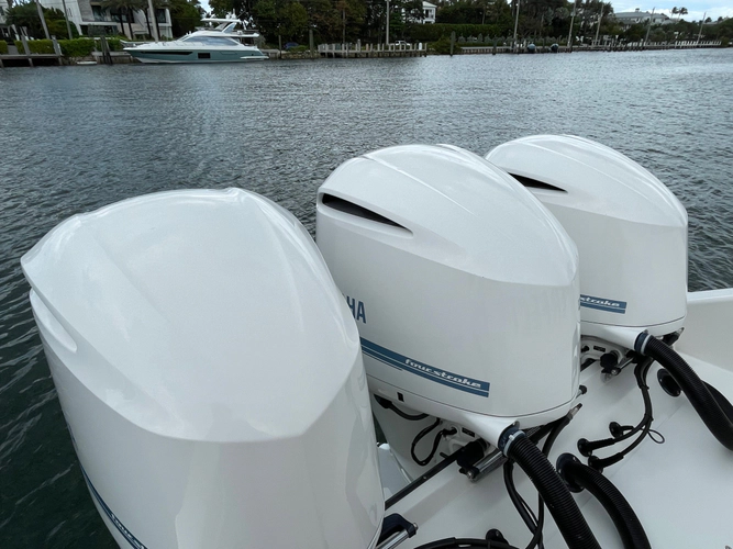 Perfection Yacht Photos Pics 