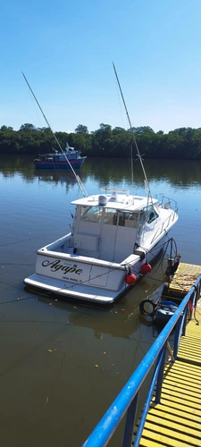 Agape Yacht Photos Pics 