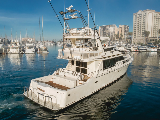 Tribeless Yacht Photos Pics 