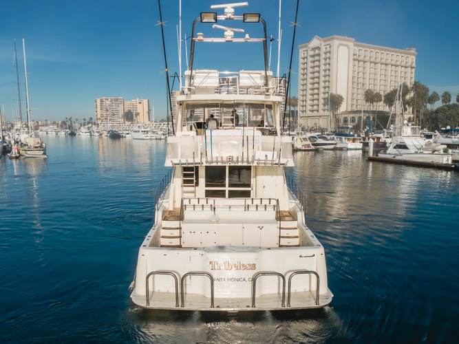 Tribeless Yacht Photos Pics 