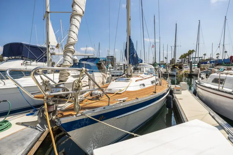 Roniin Yacht Photos Pics 
