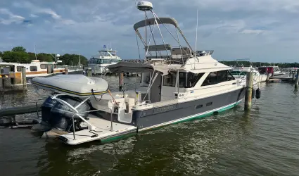 32' Cutwater 2021