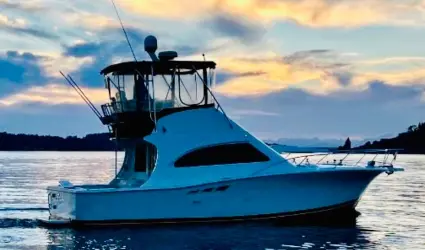 36' Luhrs 2001