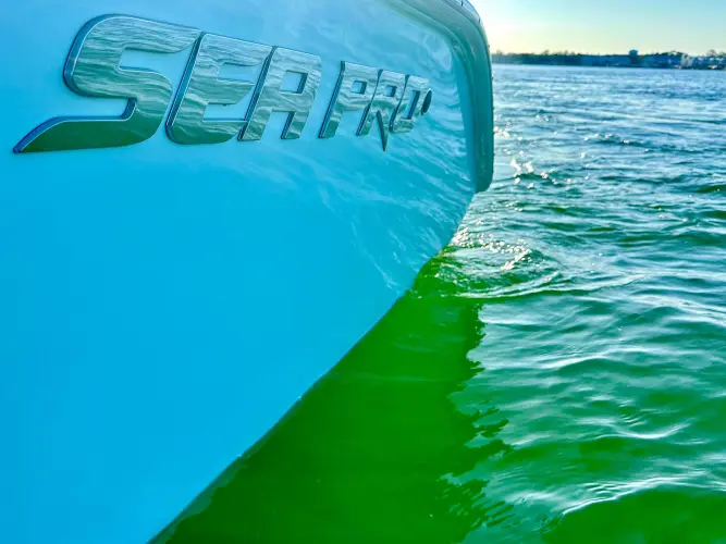Cray Day Yacht Photos Pics 