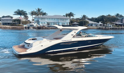 31' Sea Ray 2022