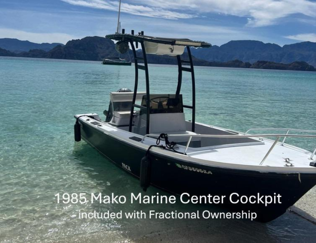 Icon Yacht Photos Pics 