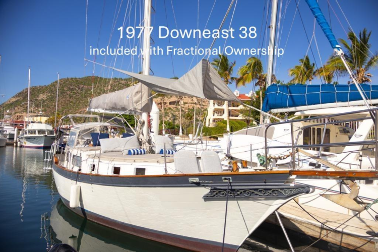 Icon Yacht Photos Pics 