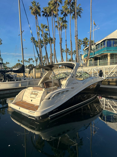 Sea Loco Yacht Photos Pics 