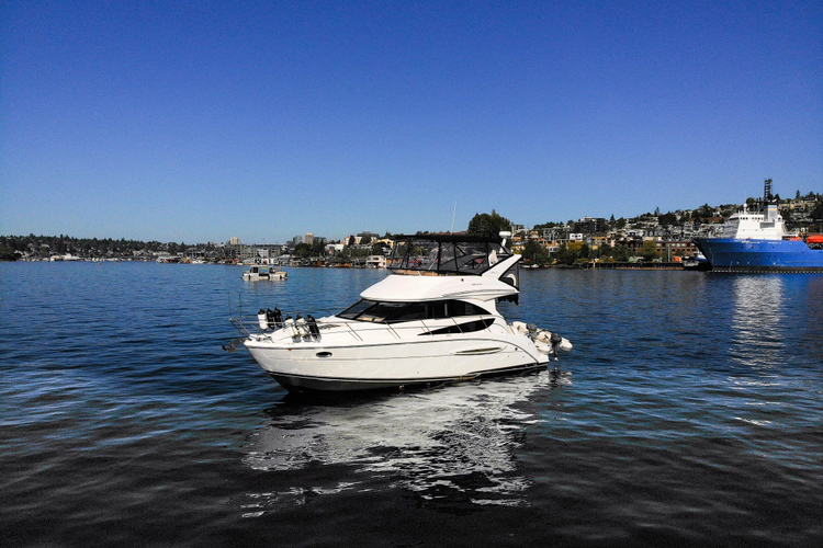 Seacougs Yacht Photos Pics 