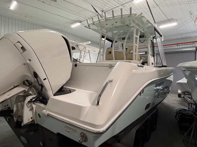 Chasing Seahawk Yacht Photos Pics 