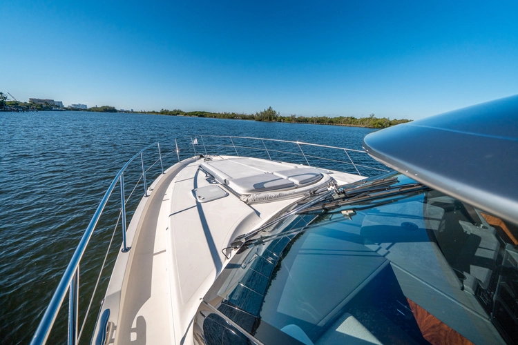 Water Dog Yacht Photos Pics 