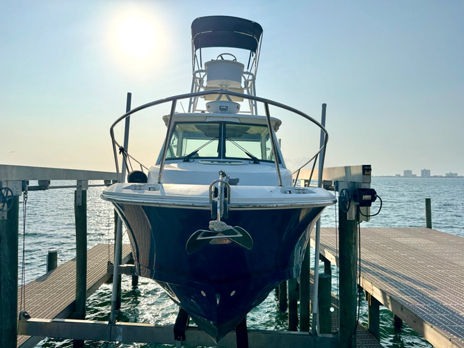 Whistle Yacht Photos Pics 
