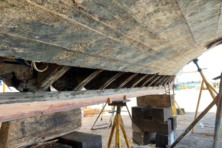 New School Yacht Photos Pics 