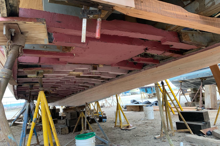 New School Yacht Photos Pics 