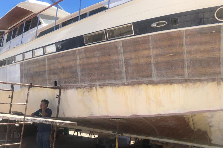 New School Yacht Photos Pics 