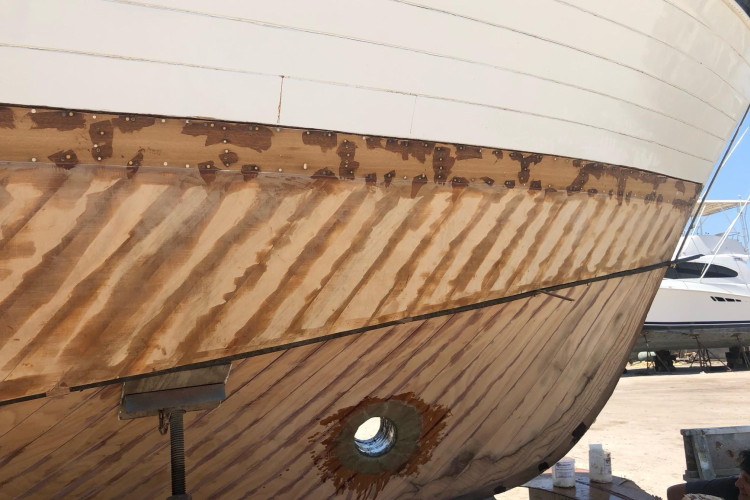 New School Yacht Photos Pics 