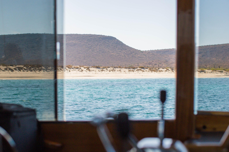 New School Yacht Photos Pics 