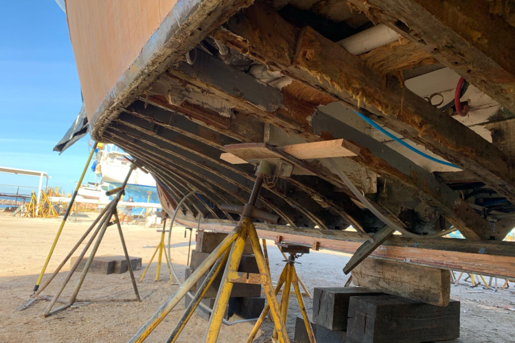 New School Yacht Photos Pics 