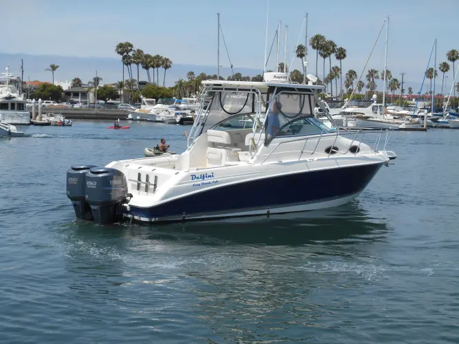 Delfini Yacht Photos Pics 