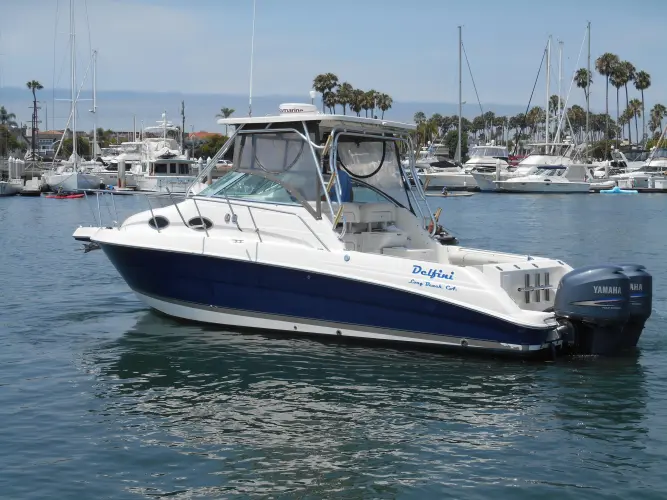 Delfini Yacht Photos Pics 