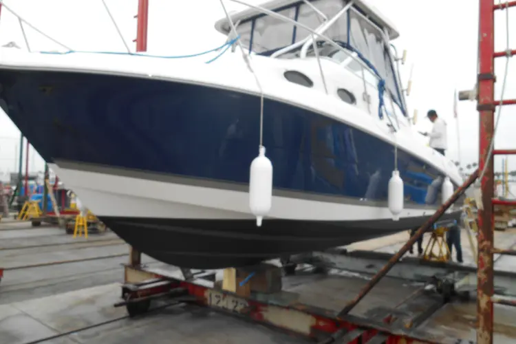 Delfini Yacht Photos Pics 