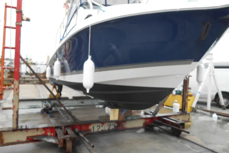 Delfini Yacht Photos Pics 