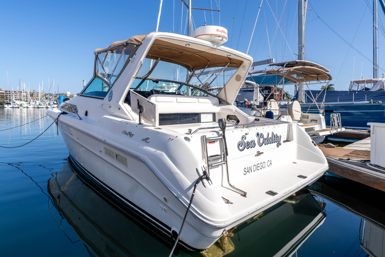 Sea Oddity Yacht Photos Pics 