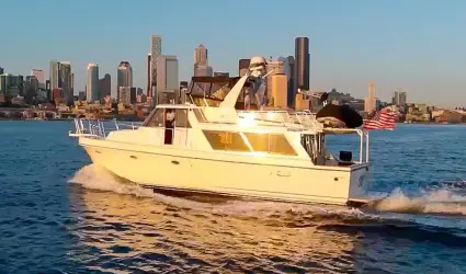 51' Symbol 1988