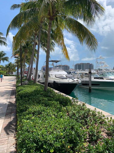 Family Affair Yacht Photos Pics 
