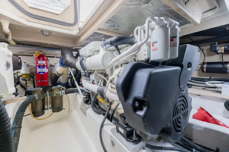 Revival Bay Yacht Photos Pics 