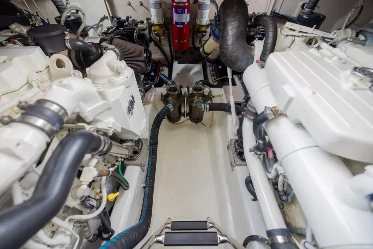 Revival Bay Yacht Photos Pics 