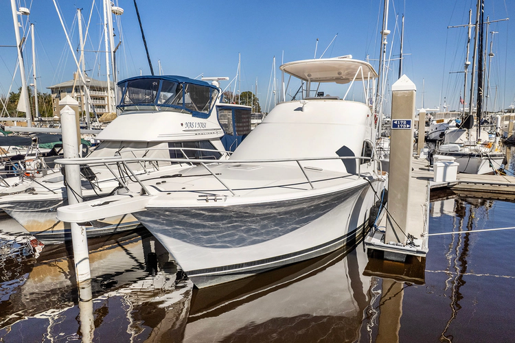 Mamasita Yacht Photos Pics 