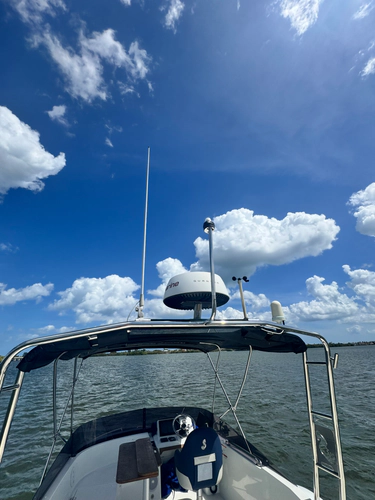 Our Trade Yacht Photos Pics 