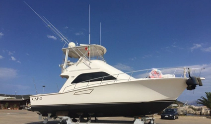43' Cabo 2006