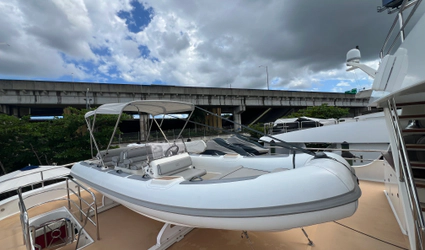 20' Williams Jet Tenders 2021