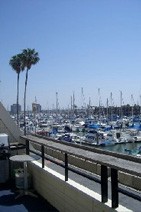 Marina Venice Yacht Club