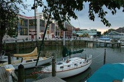 Old Dominion Boat Club