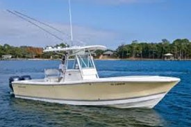 Boston Whaler Center Consoles