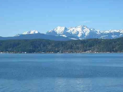 "Unbelievable cruising areas" : Olympic National Park, Washington
