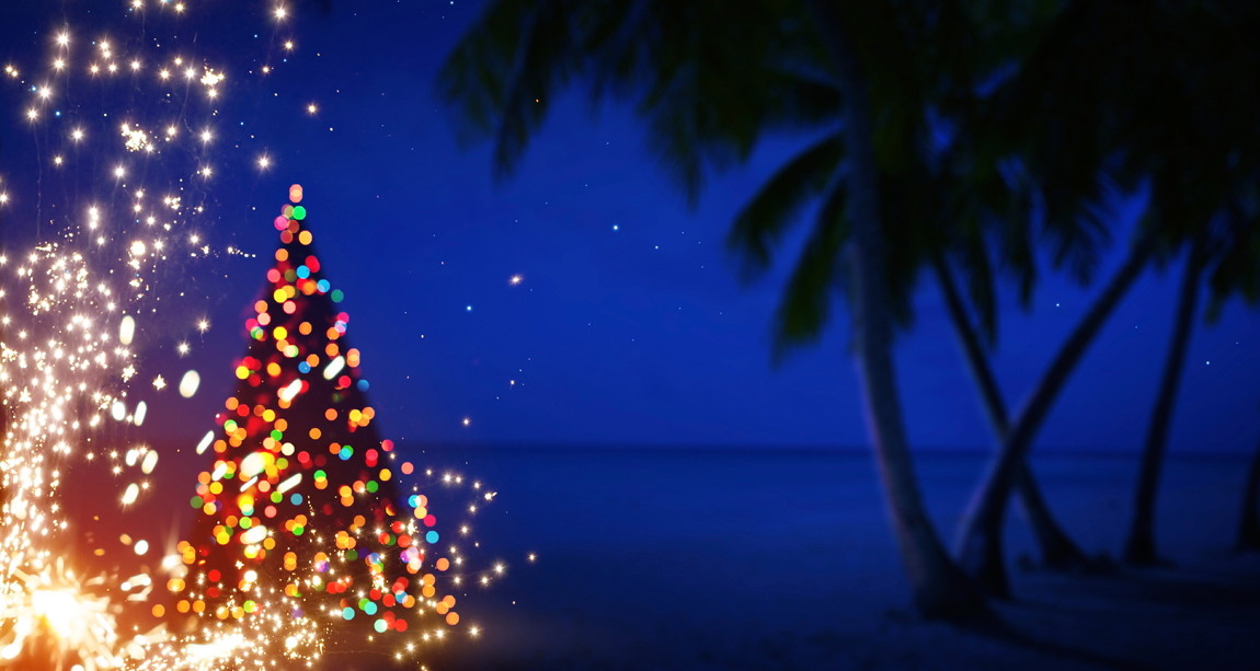 Beach-Christmas-Trees