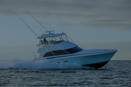 Sportfish For Sale