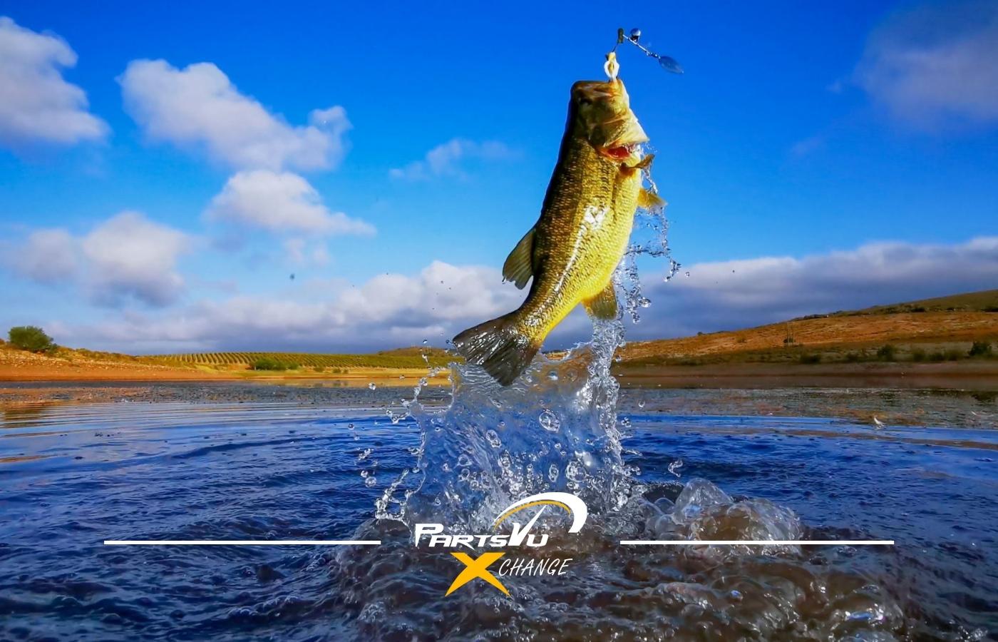 Search Bass%20fishing%20kayak%20tips Fishing Videos on