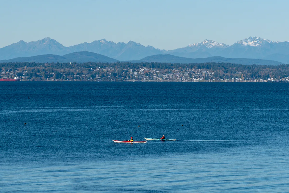Kayak
