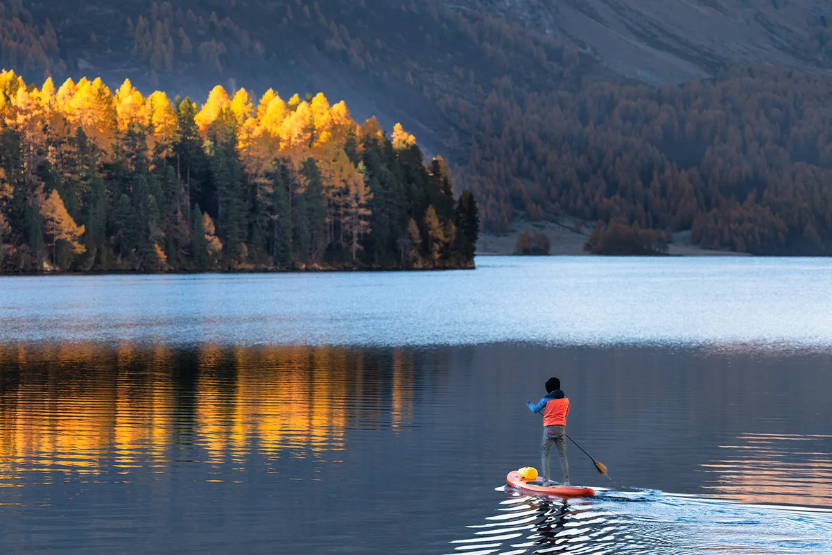 Paddleboards